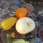 Nyaraló Ecofarm Rural Kukui Surf & Yoga *