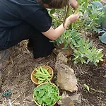 Nyaraló Ecofarm Rural Kukui Surf & Yoga Cedeira