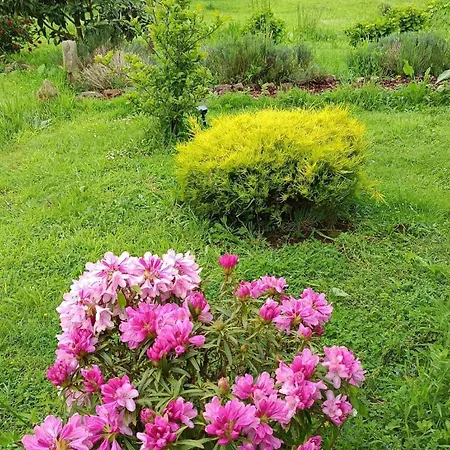 Ecofarm Rural Kukui Surf & Yoga 度假居 *