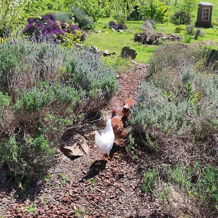 Ecofarm Rural Kukui Surf & Yoga Casa vacanze Cedeira