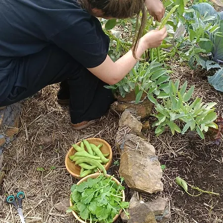 Casa vacanze Ecofarm Rural Kukui Surf & Yoga Cedeira
