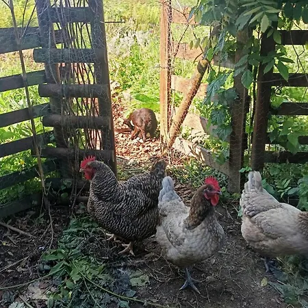Ecofarm Rural Kukui Surf & Yoga Casa vacanze Cedeira