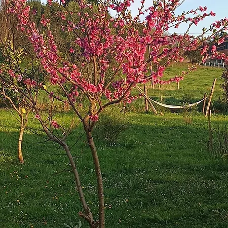 Casa vacanze Ecofarm Rural Kukui Surf & Yoga