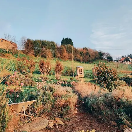 Casa vacanze Ecofarm Rural Kukui Surf & Yoga
