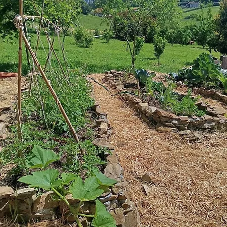 Casa vacanze Ecofarm Rural Kukui Surf & Yoga