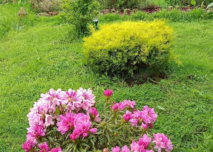 Ecofarm Rural Kukui Surf & Yoga 度假居 *