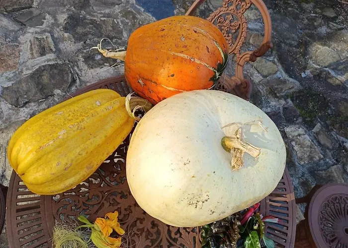 度假居 Ecofarm Rural Kukui Surf & Yoga *