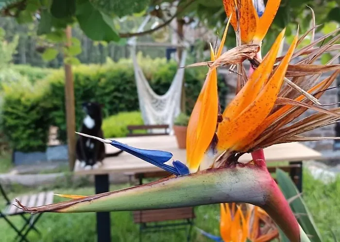 Ecofarm Rural Kukui Surf & Yoga