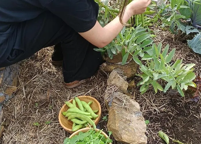 度假居 Ecofarm Rural Kukui Surf & Yoga 塞代拉