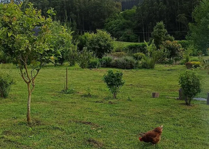 Ecofarm Rural Kukui Surf & Yoga * 塞代拉
