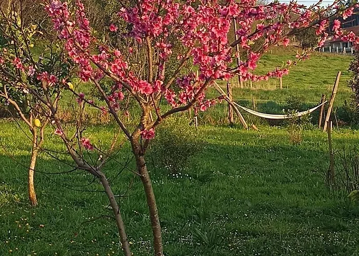 度假居 Ecofarm Rural Kukui Surf & Yoga