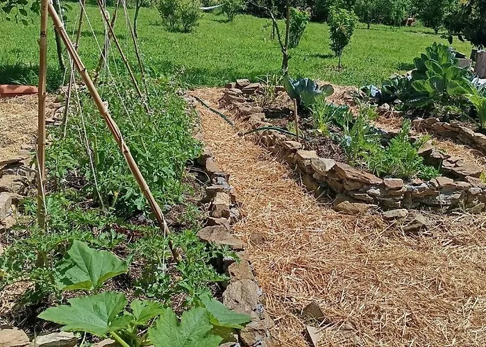 度假居 Ecofarm Rural Kukui Surf & Yoga